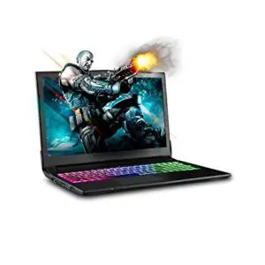 SAGER NP7850 15.6" FHD IPS VR Ready Gaming Laptop