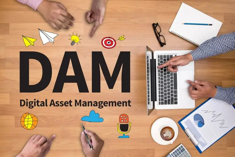 Digital Asset Management